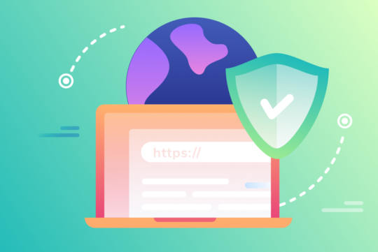 The Importance of Anchor Text in Back-links