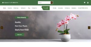 sasii-website