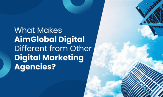 What Makes AimGlobal Digital Different from Other Digital Marketing Agencies